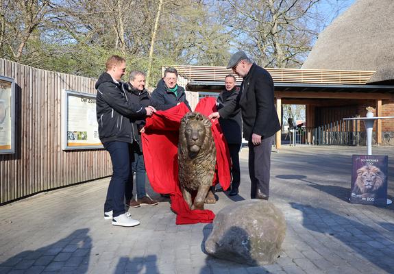 Der Zoo Schwerin ist seit dem 04.04.2023 um einen Löwen reicher: Den Eingangsbereich, welcher vor einem Jahr feierlich eröffnet wurde, ziert seit dem 04.04.2023 eine Löwenstatue aus Bronze.