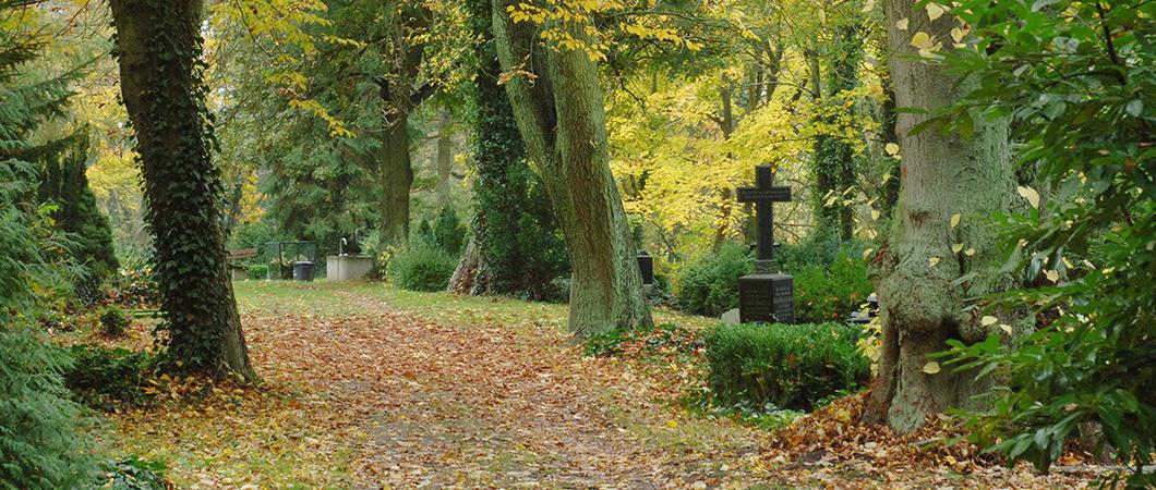 Schwerin-Alter-Friedhof-Weg c maxpress-haupt