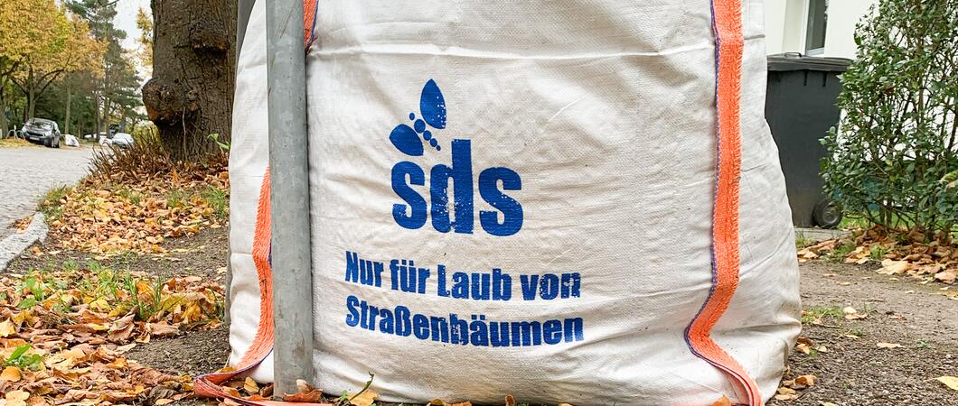 In der malerischen Landeshauptstadt Schwerin färben sich die Blätter golden und der Herbst hält Einzug. Auch wenn das farbige Laub die Jahreszeit erhellt, kommen mit der Pracht der bunten Blätter Pflichten auf die Hausbesitzer zu. Auf Straßen und Gehwegen