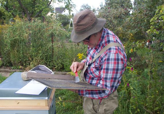 maxpress-Team schaut nach dem Wohlbefinden der Bienen und bringt den Garten auf Vordermann