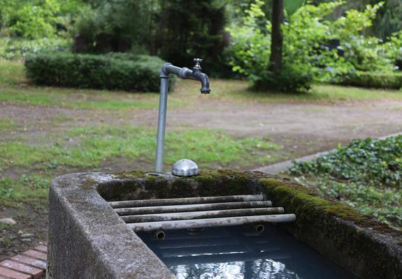 Der Eigenbetrieb SDS – Stadtwirtschaftliche Dienstleistungen Schwerin informiert, dass zum 21. November die öffentliche Wasserversorgung auf dem Alten Friedhof und dem Waldfriedhof abgestellt wird