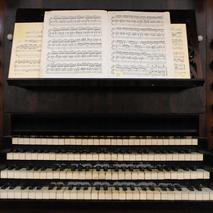 Schweriner-Dom-Innenansicht-Orgel c maxpress content 4