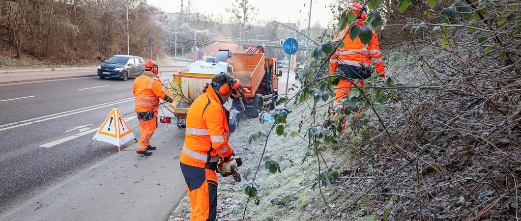 Es ist ein kalter Morgen in Schwerin, die Temperatur liegt knapp unter dem Gefrierpunkt. Die Beschäftigten des Grünpflegetrupps um Vorarbeiter Jens Frehse haben heute eine anspruchsvolle Aufgabe