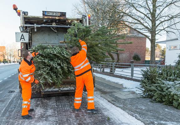Ausgediente Weihnachtsbäume werden vom 6. bis 17. Januar 2020 entsorgt