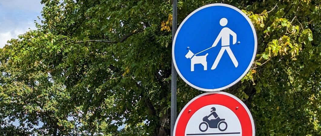 Hundebesitzer möchten ihren Vierbeinern möglichst viel Auslauf an frischer Luft bieten. Ob das nur mit Leine oder auch unangeleint möglich ist, regelt in Schwerin die Hundeverordnung.