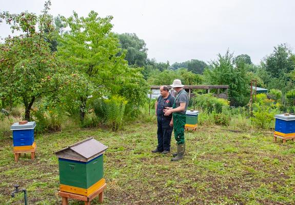 Jeder kann jetzt mitmachen im Bienengarten auf der Krösnitz