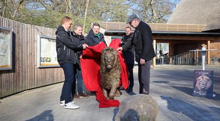 Der Zoo Schwerin ist seit dem 04.04.2023 um einen Löwen reicher: Den Eingangsbereich, welcher vor einem Jahr feierlich eröffnet wurde, ziert seit dem 04.04.2023 eine Löwenstatue aus Bronze.