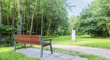 Ruhestätten im Waldesgrund auf dem Waldfriedhof sind durch neue Wege besser erreichbar