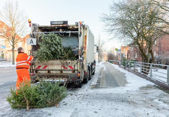 Auch in diesem Jahr holt die Schweriner Abfallentsorgungs- und Straßenreinigungsgesellschaft (SAS) die ausgedienten Weihnachtsbäume an den nachfolgenden Sammelstellen im Stadtgebiet ab.
