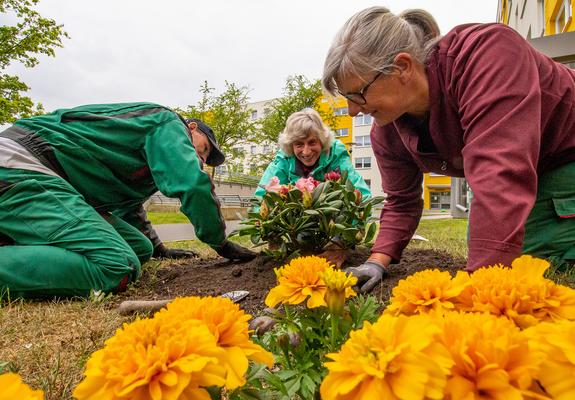 Gemeinsam anpacken für noch mehr Wohngefühl – unter diesem Motto kamen am 11. Mai tatkräftige Hände und farbenfrohe Blumen zum Einsatz.