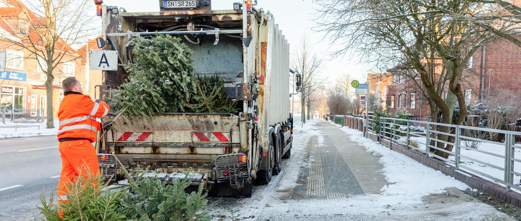 Auch in diesem Jahr holt die Schweriner Abfallentsorgungs- und Straßenreinigungsgesellschaft (SAS) die ausgedienten Weihnachtsbäume an den nachfolgenden Sammelstellen im Stadtgebiet ab.