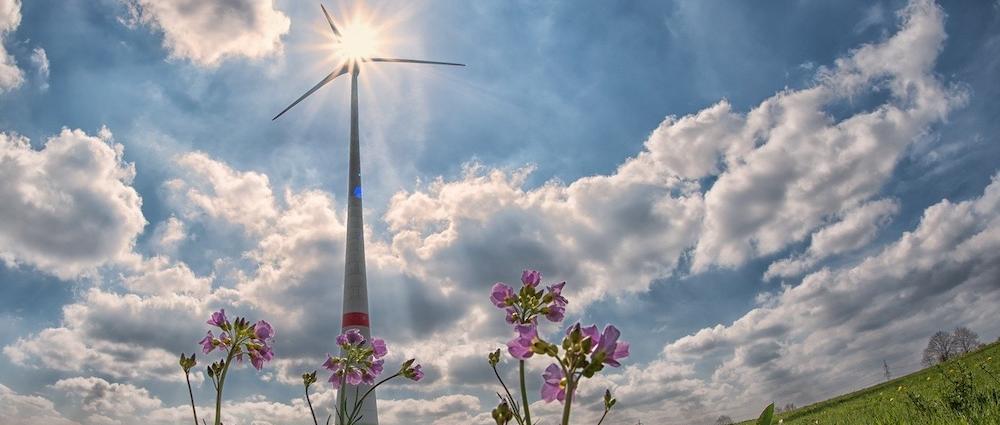 Tag der Erneuerbaren Energien 2020 steigt Ende April. Schon jetzt können sich Unternehmen dafür anmelden.