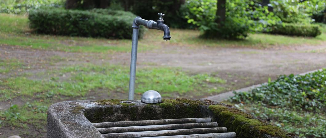 Der Eigenbetrieb SDS – Stadtwirtschaftliche Dienstleistungen Schwerin informiert, dass zum 21. November die öffentliche Wasserversorgung auf dem Alten Friedhof und dem Waldfriedhof abgestellt wird