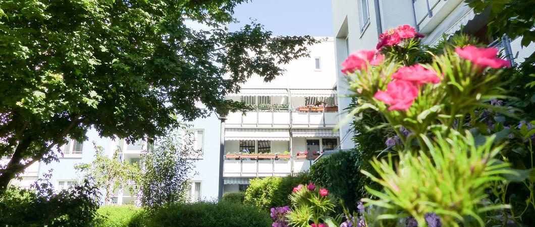 Die farbenfrohe Fassadengestaltung und ruhige Innenhöfe verleihen den Wohnquartieren ihren besonderen Charme, Fotos: WGS