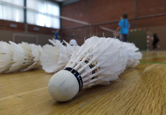 Badminton Sport Club 95 Schwerin sucht Grundschulkinder