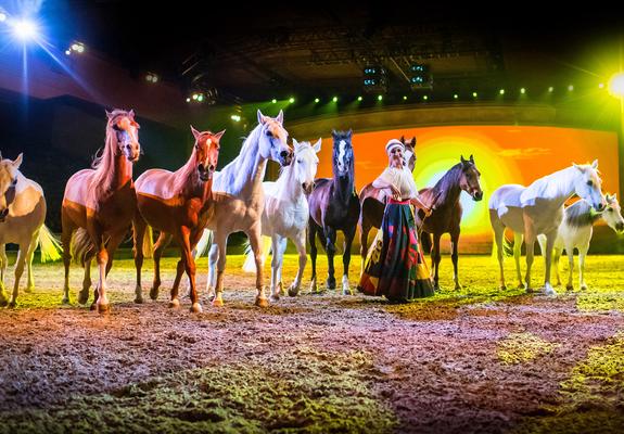 Das lange Warten hat endlich ein Ende: Mit der neuen Show CAVALLUNA – „CELEBRATION!“ kehrt Europas beliebteste Pferdeshow zurück und lädt das Publikum in Schwerin am 6. und 7. November mit wundervollen Schaubildern zum Träumen ein.