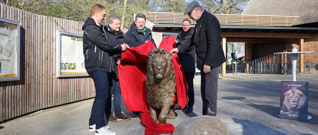 Der Zoo Schwerin ist seit dem 04.04.2023 um einen Löwen reicher: Den Eingangsbereich, welcher vor einem Jahr feierlich eröffnet wurde, ziert seit dem 04.04.2023 eine Löwenstatue aus Bronze.