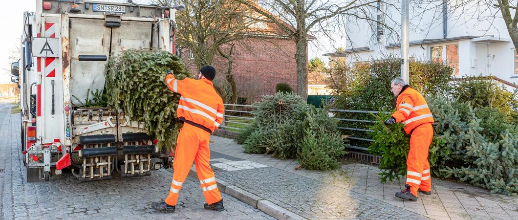 Die Weihnachtsbäume werden an den nachstehenden Sammelstellen im Stadtgebiet abgeholt | Foto: maxpress/srk