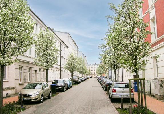 Die Stadtbirne in der Gartenstraße ist ein Klimabaum und passt ins Straßenbild