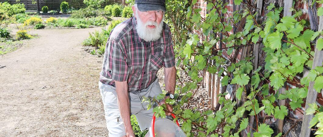 Rolf Steinmüller ist seit 1976 Stadtvertreter, studierter Gartenexperte und Hobbygärtner.