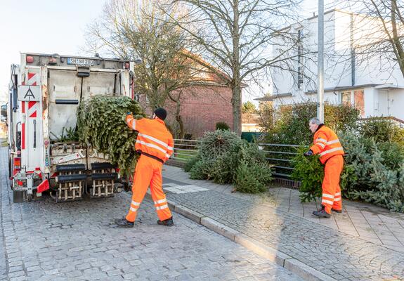 Die Weihnachtsbäume werden an den nachstehenden Sammelstellen im Stadtgebiet abgeholt | Foto: maxpress/srk