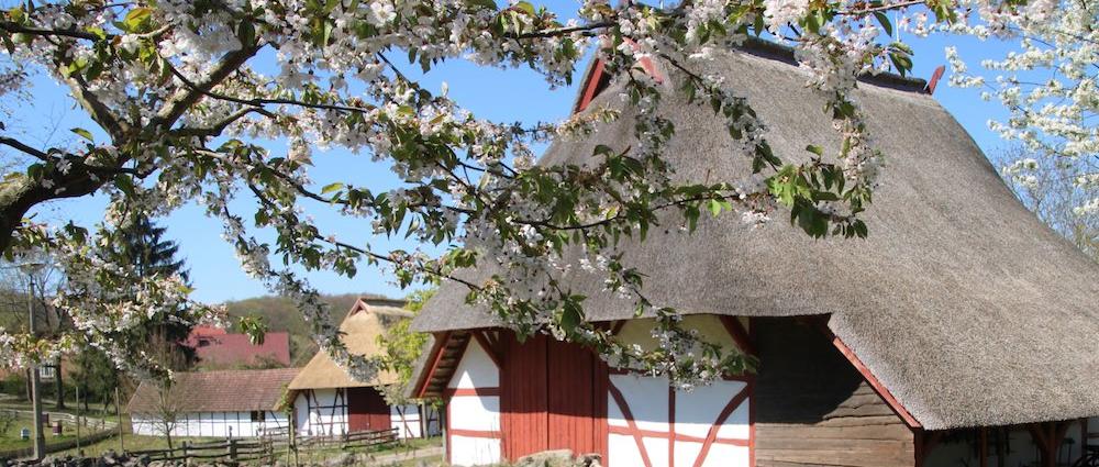 Normalerweise startet die Saison des Freilichtmuseums für Volkskunde in Schwerin-Mueß für Besucher zu Ostern. Doch durch die Corona-Maßnahmen musste der Start verschoben werden. Aber ab dem kommenden Dienstag (19. Mai 2020) öffnet das Fr
