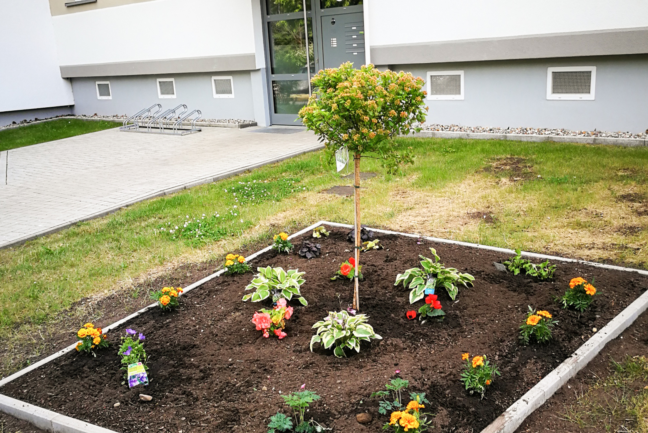 Nun verschönern bunte Pflanzen den Hauseingang