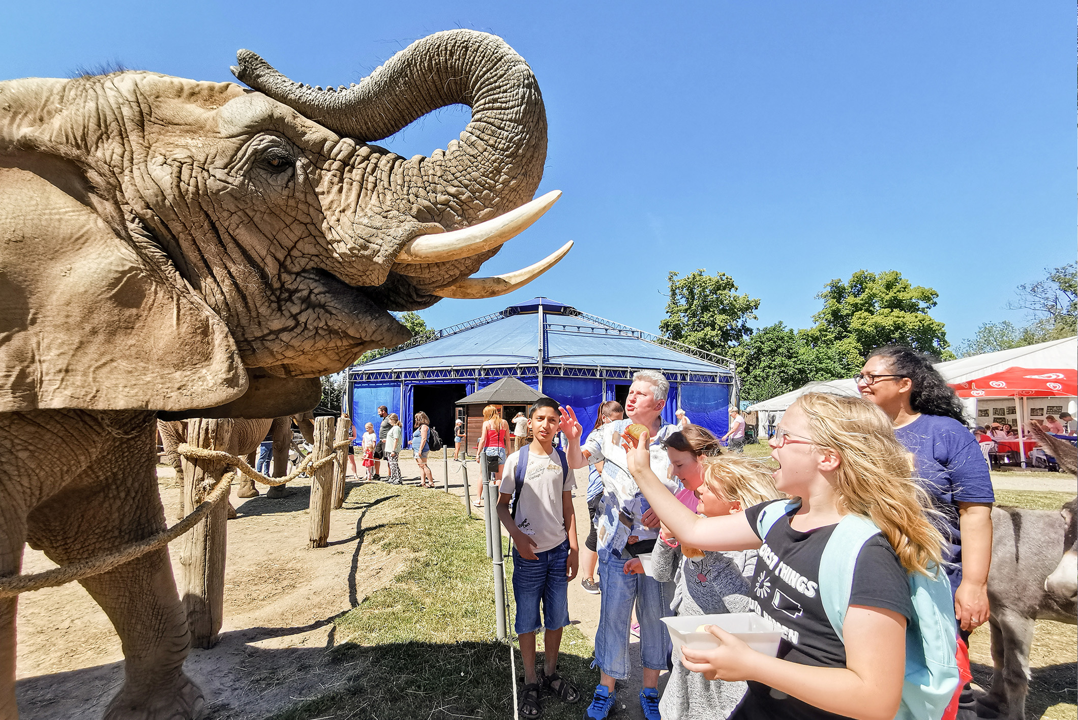 Riesenspaß im Ferienlager – die WGS unterstützte erneut das Ferienlager des Arbeitslosenverbands, diesmal mit einem Ausflug zum Elefantenhof Platschow